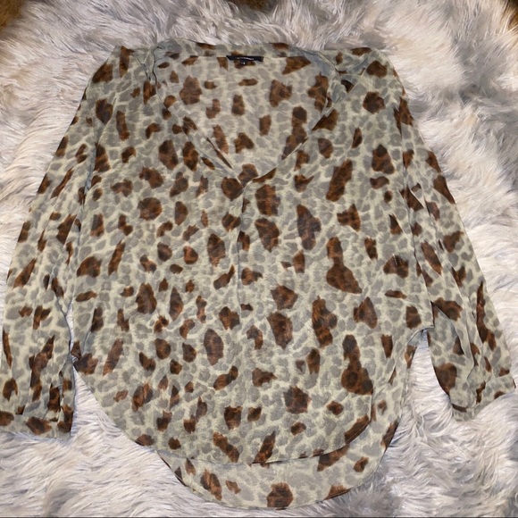 Olivaceous Leopard Print Sheer Blouse - Picture 1 of 5